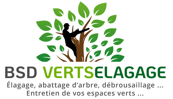 Elagage Arbres - BSD VERTSÉLAGAGE : élagueur grimpeur : Elagage, abattage d'arbres, taille arbres d'essouchage, débrousaillage dans le Maine-et-Loire (49), les Deux-Sèvres (79), Vienne (86) et l’Indre-et-Loire (37)