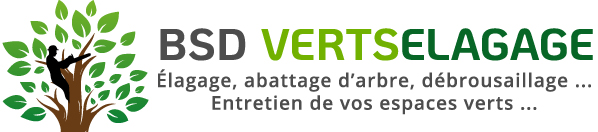 BSD VERTSÉLAGAGE  : Élagueur, jardinier dans le Maine-et-Loire (49), les Deux-Sèvres (79), Vienne (86) et l’Indre-et-Loire (37). Étêtage, élagage d’arbres, abattage arbres, d’essouchage et débroussaillage terrain . Entretien de vos espaces verts :Tailles des haies, tonte de pelouse,Nettoyage des extérieurs … pose clôture…